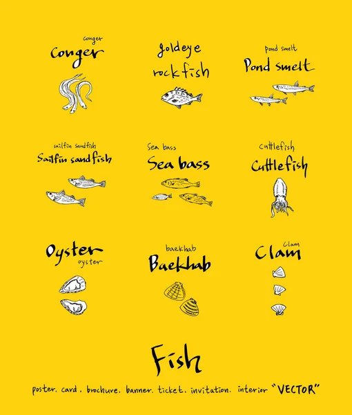 El çekilmiş gıda maddeleri - deniz gıda menü resimleri - vektör