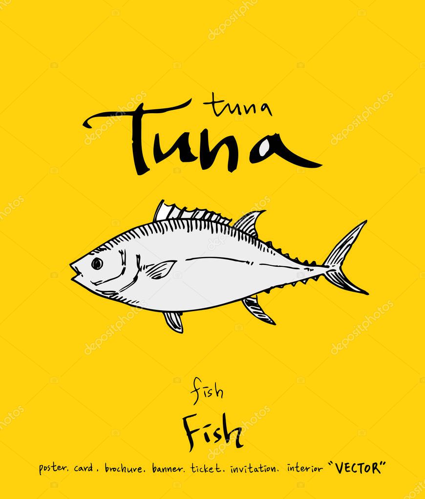Sea food illustrations / Hand drawn food ingredients - vector