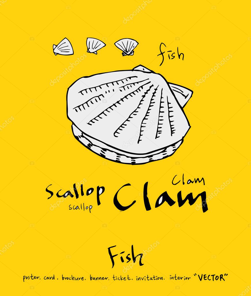 Sea food illustrations / Hand drawn food ingredients - vector