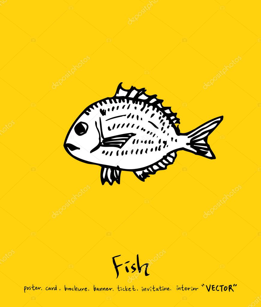 Hand drawn food ingredients - sea food menu illustrations - vector