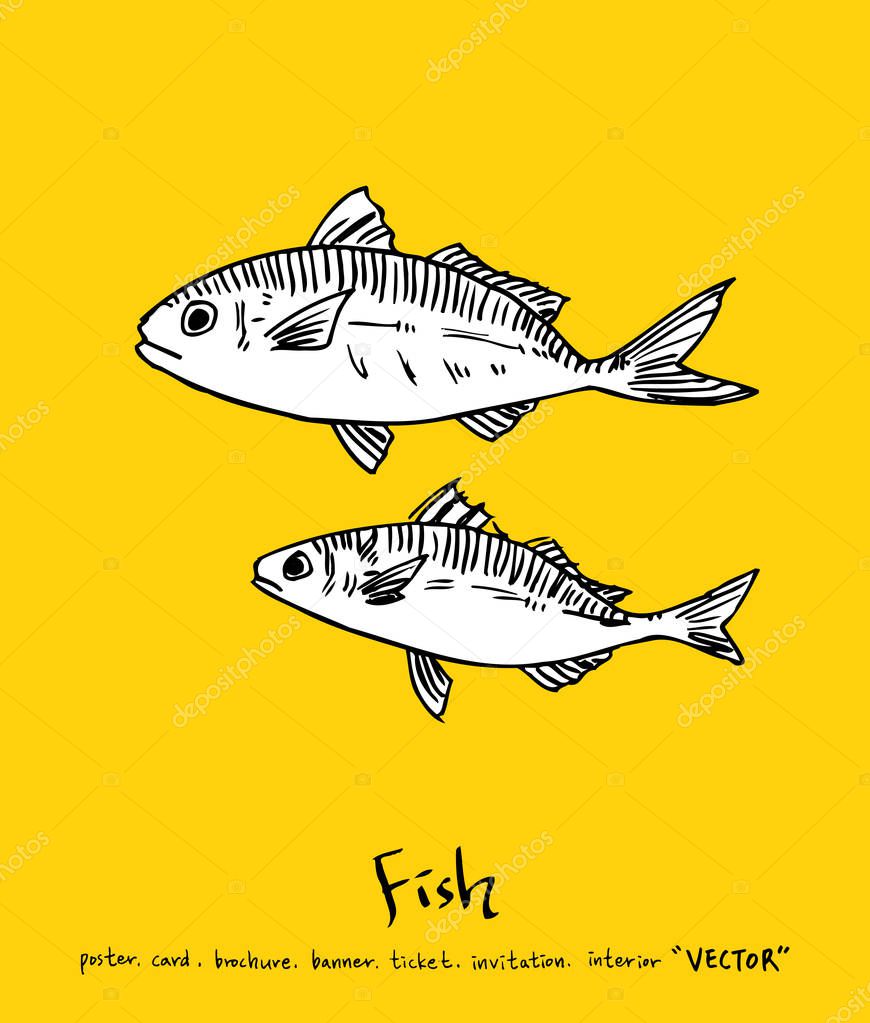 Hand drawn food ingredients - sea food menu illustrations - vector