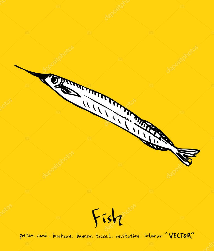 Hand drawn food ingredients - sea food menu illustrations - vector