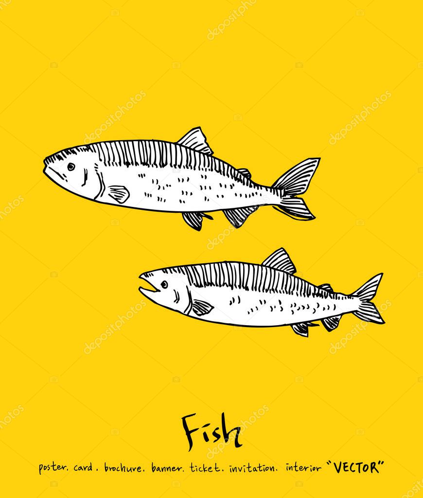 Hand drawn food ingredients - sea food menu illustrations - vector