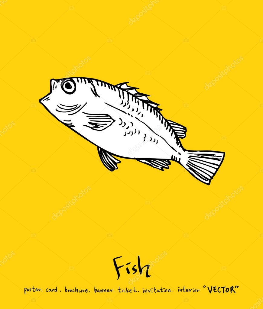 Hand drawn food ingredients - sea food menu illustrations - vector