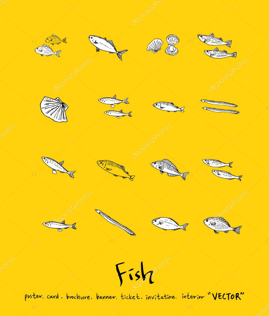Hand drawn food ingredients - sea food menu illustrations - vector