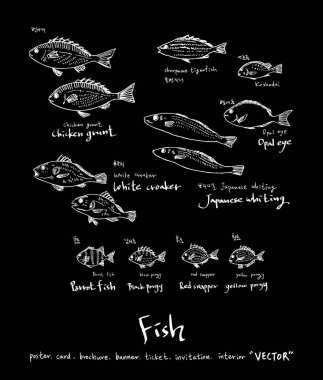 El çekilmiş gıda maddeleri - deniz gıda menü resimleri - vektör