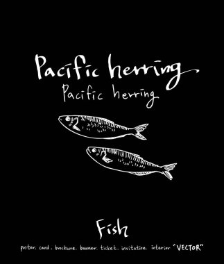 deniz gıda çizimler / el çekilmiş gıda maddeleri - vektör