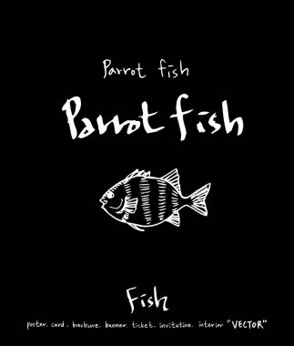 deniz gıda çizimler / el çekilmiş gıda maddeleri - vektör