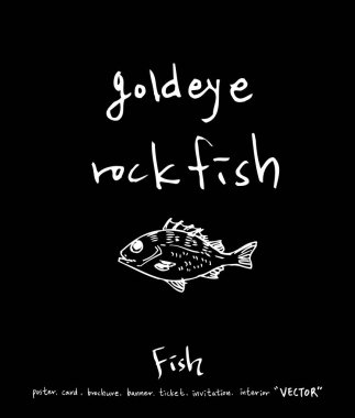 deniz gıda çizimler / el çekilmiş gıda maddeleri - vektör