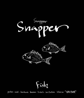 deniz gıda çizimler / el çekilmiş gıda maddeleri - vektör