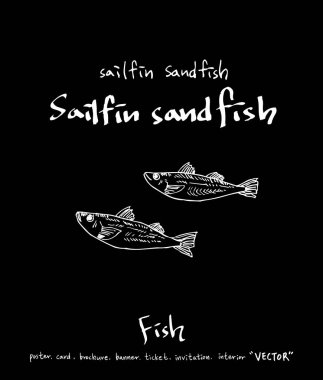 deniz gıda çizimler / el çekilmiş gıda maddeleri - vektör