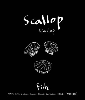 deniz gıda çizimler / el çekilmiş gıda maddeleri - vektör