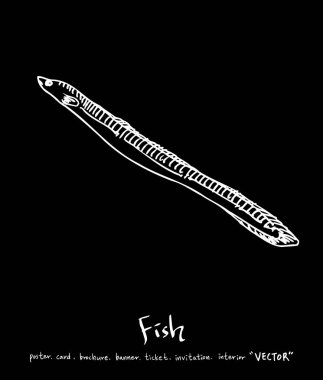 deniz gıda çizimler / el çekilmiş gıda maddeleri - vektör