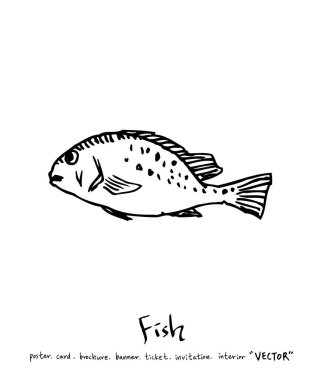 deniz gıda çizimler / el çekilmiş gıda maddeleri - vektör