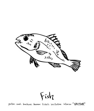 deniz gıda çizimler / el çekilmiş gıda maddeleri - vektör