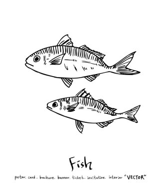 deniz gıda çizimler / el çekilmiş gıda maddeleri - vektör