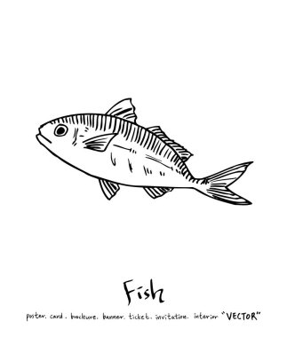 deniz gıda çizimler / el çekilmiş gıda maddeleri - vektör