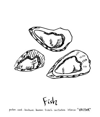 deniz gıda çizimler / el çekilmiş gıda maddeleri - vektör