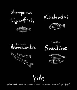 El çekilmiş gıda maddeleri - deniz gıda menü resimleri - vektör