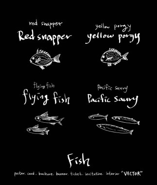 El çekilmiş gıda maddeleri - deniz gıda menü resimleri - vektör