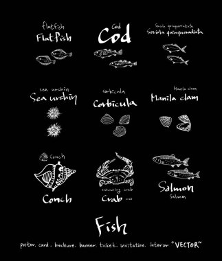 El çekilmiş gıda maddeleri - deniz gıda menü resimleri - vektör