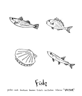 El çekilmiş gıda maddeleri - deniz gıda menü resimleri - vektör