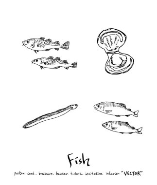 El çekilmiş gıda maddeleri - deniz gıda menü resimleri - vektör