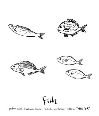 El çekilmiş gıda maddeleri - deniz gıda menü resimleri - vektör