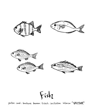 El çekilmiş gıda maddeleri - deniz gıda menü resimleri - vektör