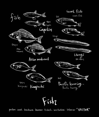 El çekilmiş gıda maddeleri - deniz gıda menü resimleri - vektör
