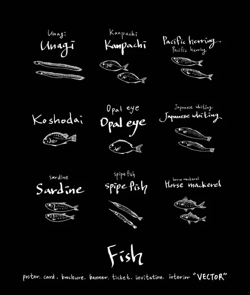 Ciągnione Żywności Składników Sea Food Menu Ilustracje Wektor — Wektor stockowy