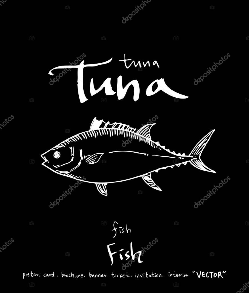 Hand drawn food ingredients - sea food menu illustrations - vector