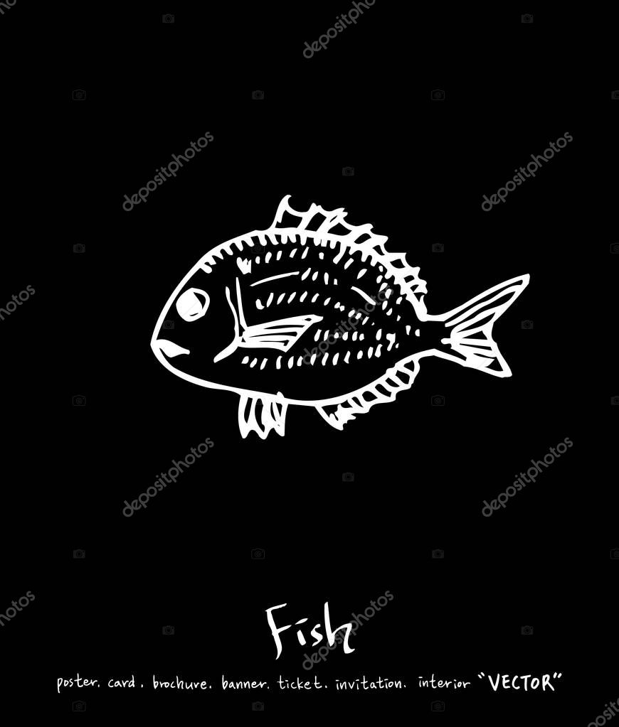Sea food illustrations / Hand drawn food ingredients - vector