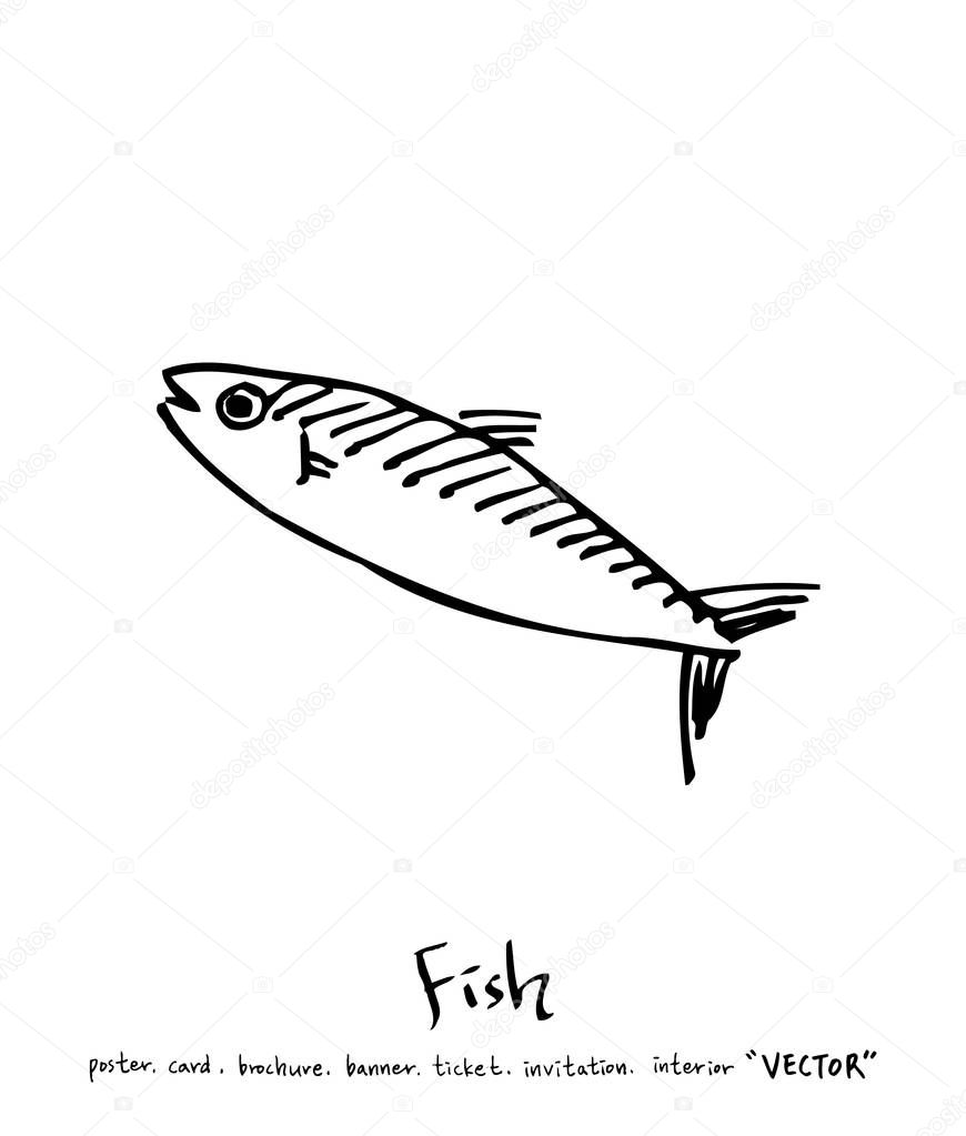 Sea food illustrations / Hand drawn food ingredients - vector