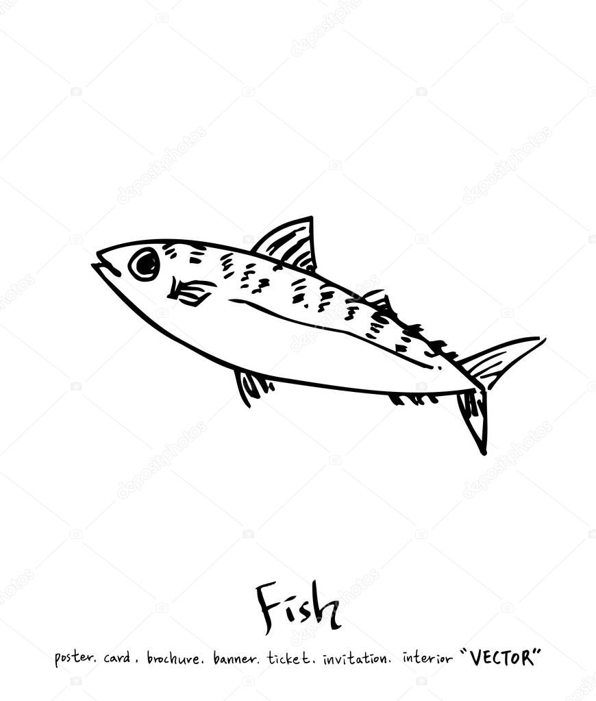 sea food illustrations / Hand drawn food ingredients - vector