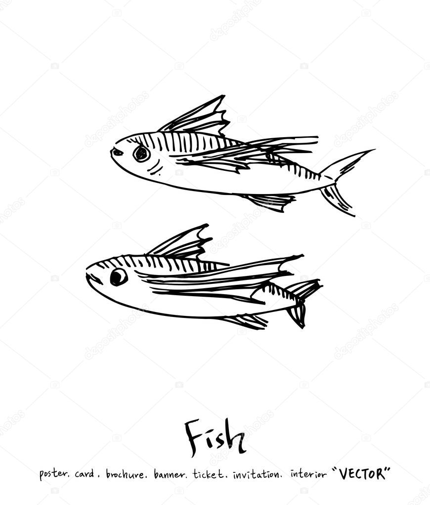 Sea food illustrations / Hand drawn food ingredients - vector