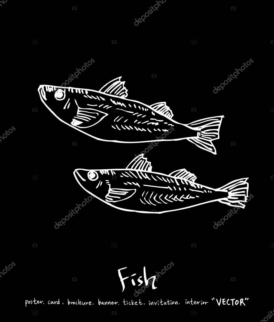 Hand drawn food ingredients - sea food menu illustrations - vector