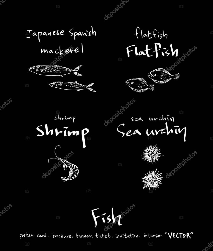 Hand drawn food ingredients - sea food menu illustrations - vector