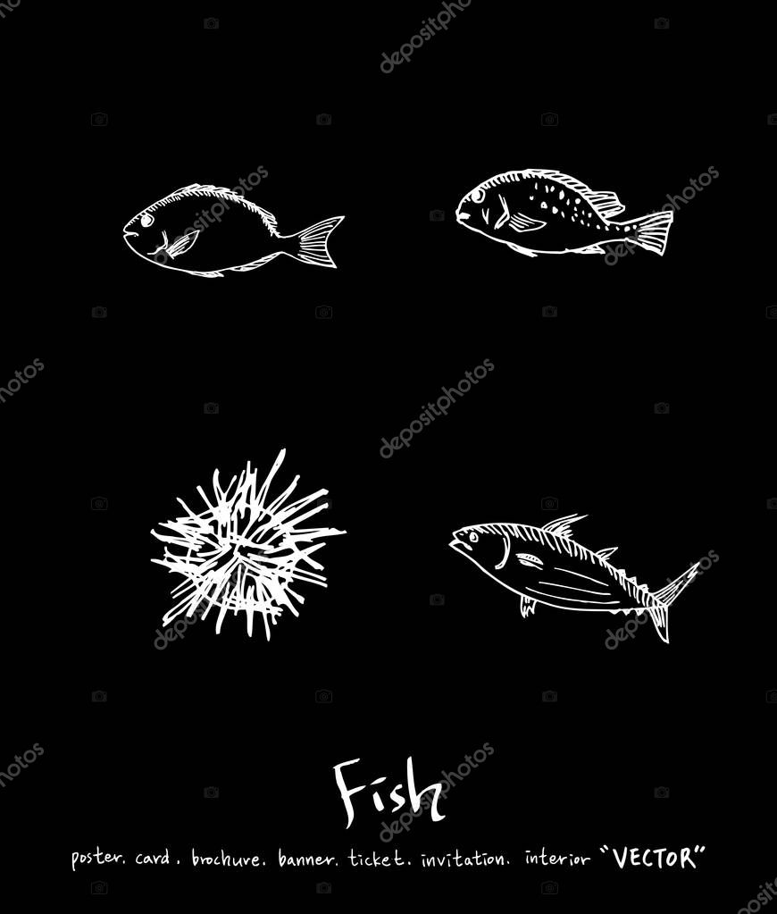 Hand drawn food ingredients - sea food menu illustrations - vector