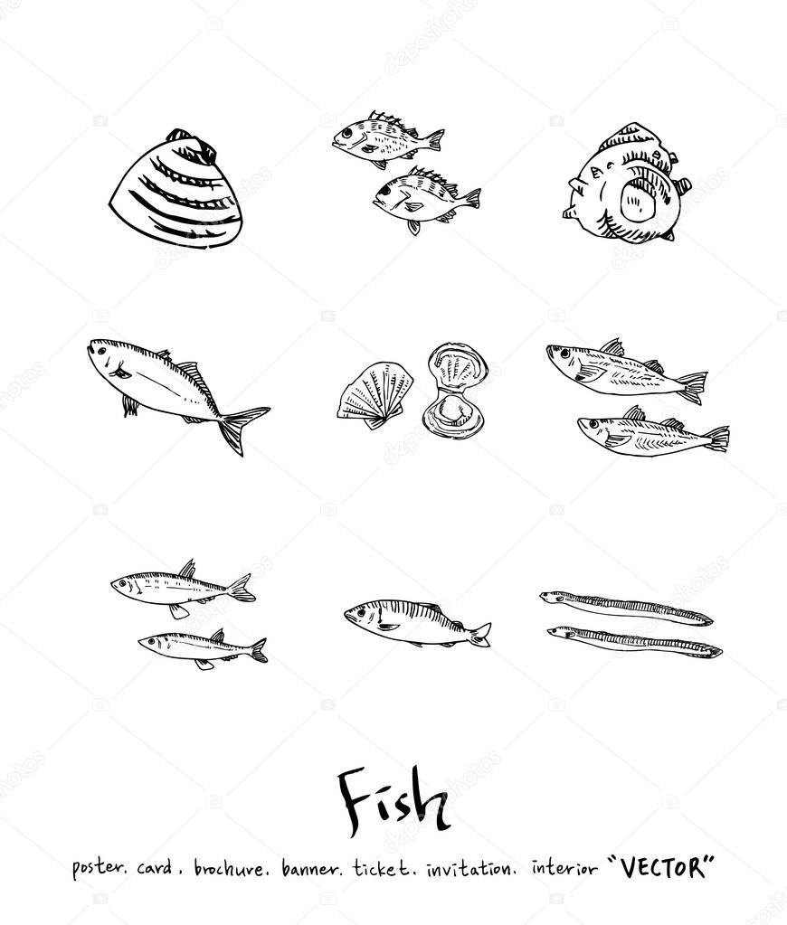 Hand drawn food ingredients - sea food menu illustrations - vector