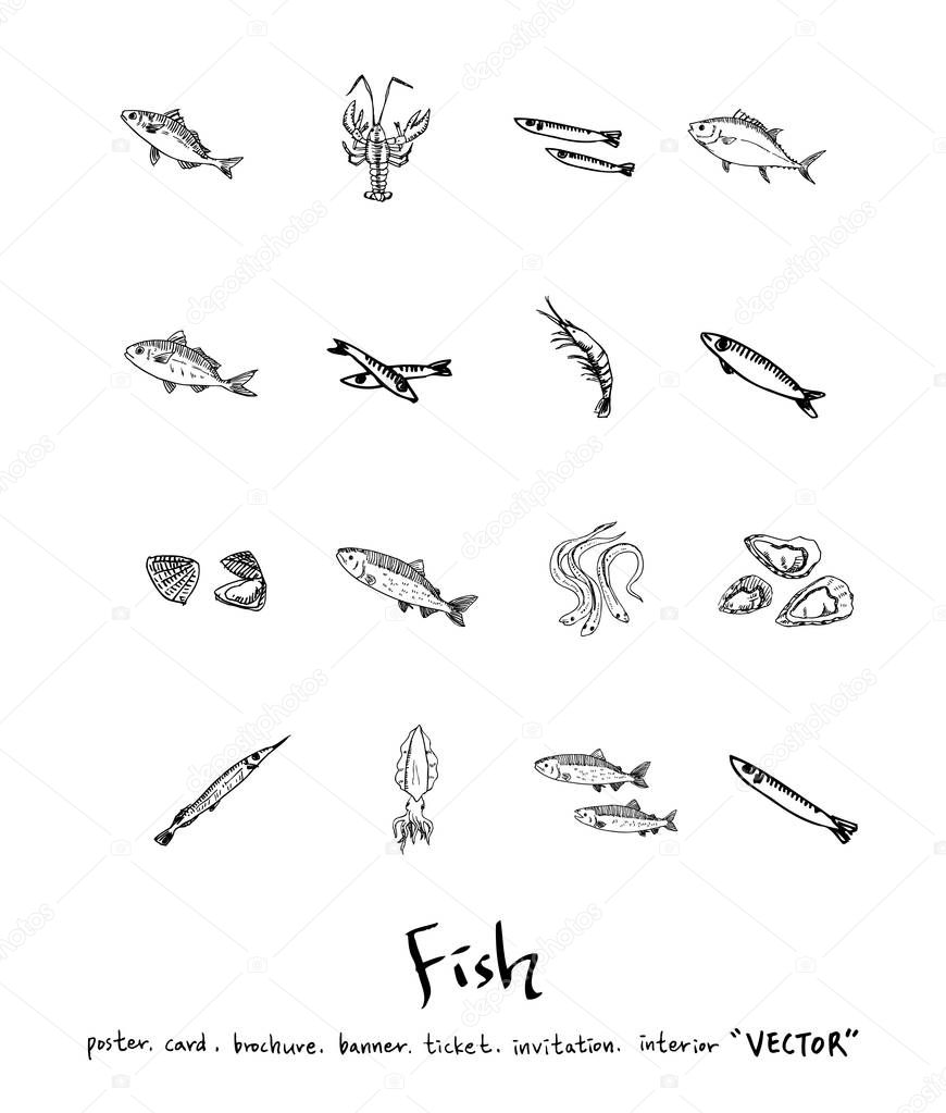Hand drawn food ingredients - sea food menu illustrations - vector