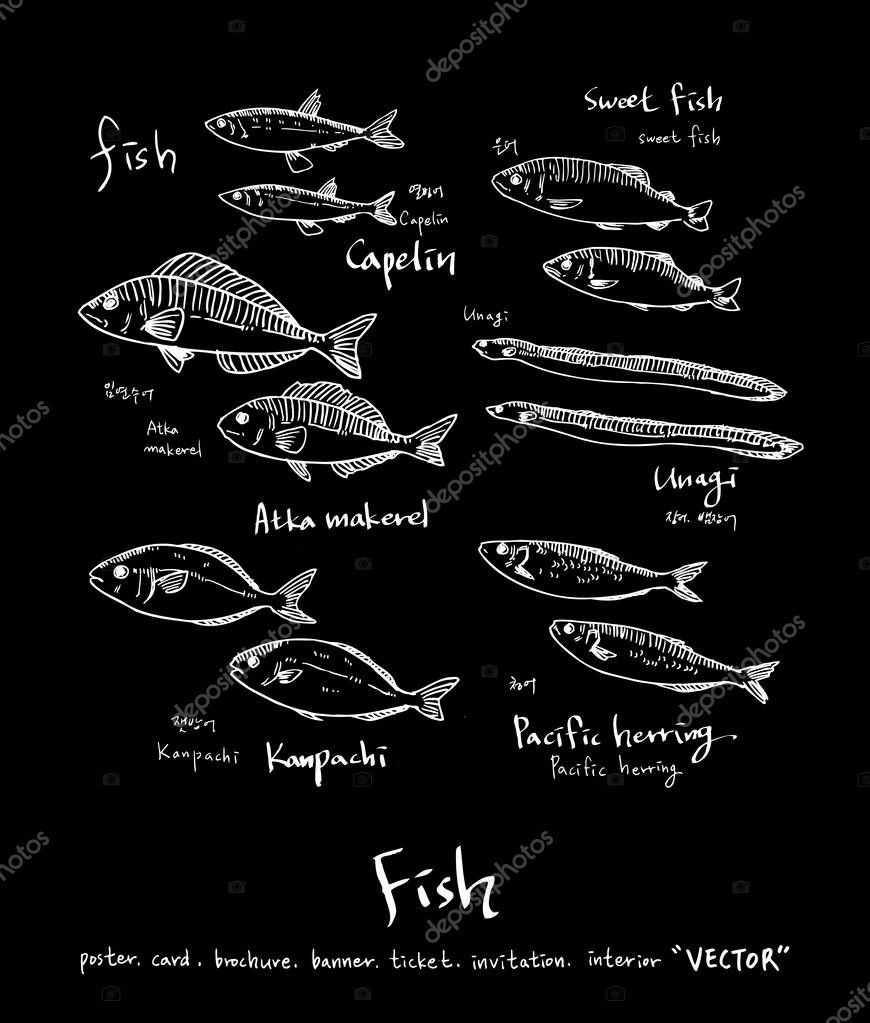 Hand drawn food ingredients - sea food menu illustrations - vector