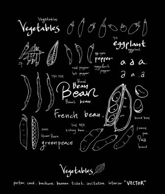 Sebze ve meyve resimler / el çekilmiş gıda maddeleri - vektör