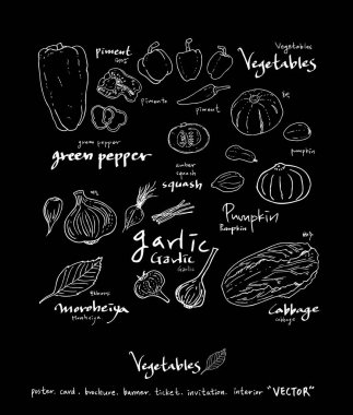 Sebze ve meyve resimler / el çekilmiş gıda maddeleri - vektör
