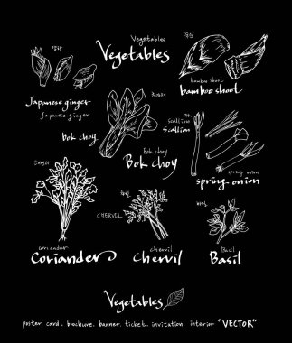 Sebze ve meyve resimler / el çekilmiş gıda maddeleri - vektör