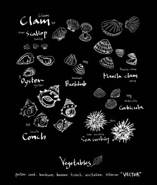 Sebze ve meyve resimler / el çekilmiş gıda maddeleri - vektör