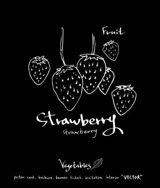 Sebze ve meyve resimler / el çekilmiş gıda maddeleri - vektör