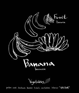 Sebze ve meyve resimler / el çekilmiş gıda maddeleri - vektör