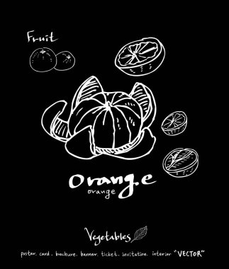 Sebze ve meyve resimler / el çekilmiş gıda maddeleri - vektör