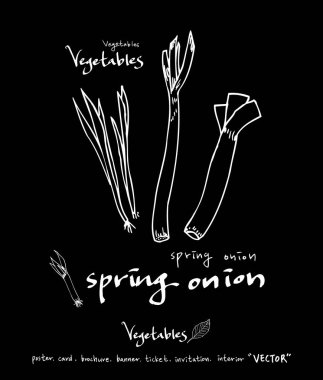 Sebze ve meyve resimler / el çekilmiş gıda maddeleri - vektör